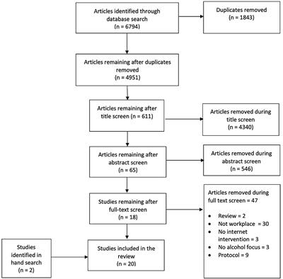 What do we know about alcohol internet interventions aimed at employees?—A scoping review